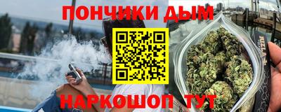 индика Жуковский