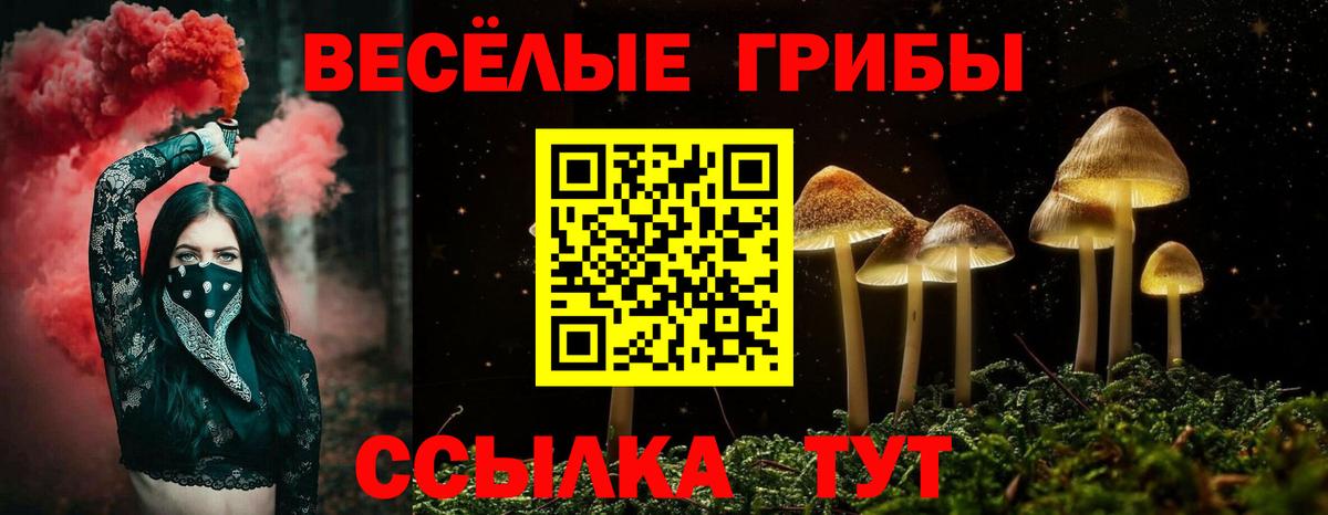Галлюциногенные грибы прущие грибы Магнитогорск